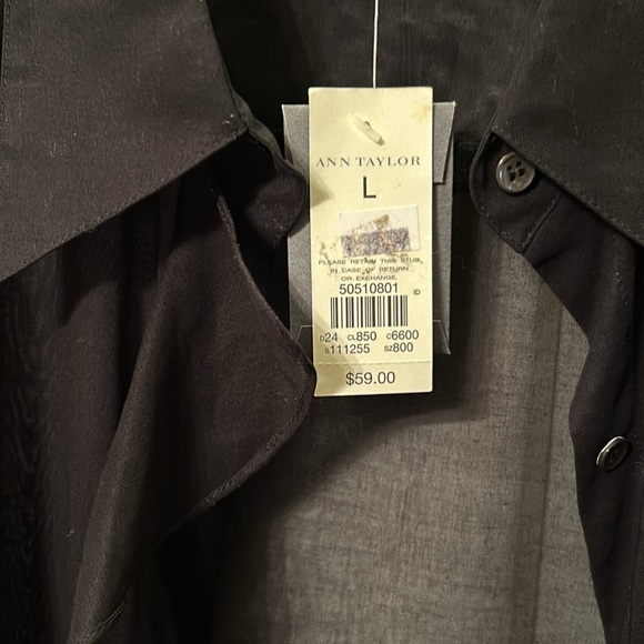 NWT Ann Taylor Sheer Long Sleeved Blouse with Ruffle Detail, size L - Picture 6 of 7
